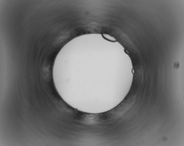 X0000101390088200808041027