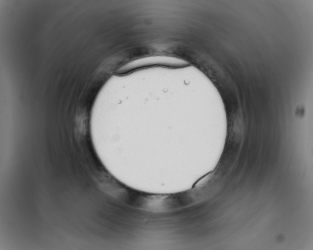 X0000101390090200808041027