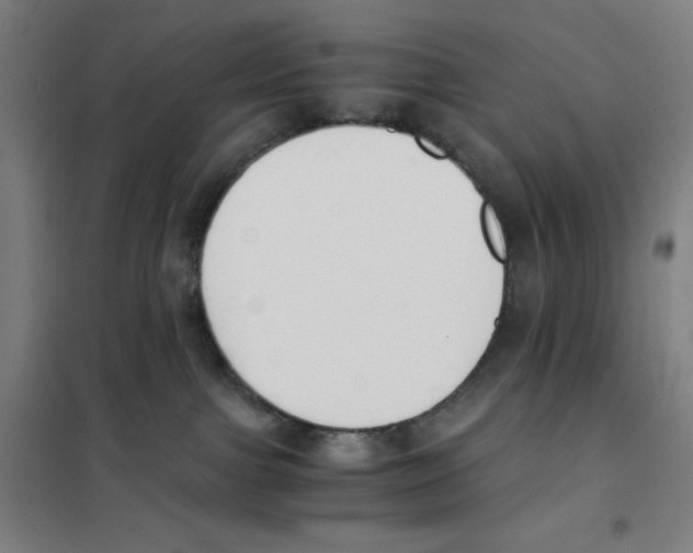 X0000101390091200808041027