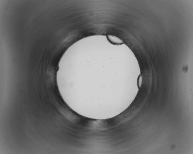 X0000101390092200808041027