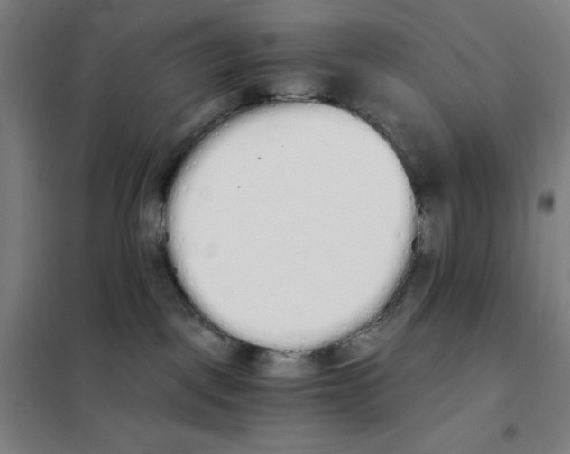 X0000101390093200808041027