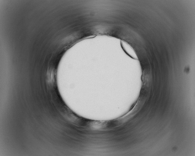 X0000101390094200808041027