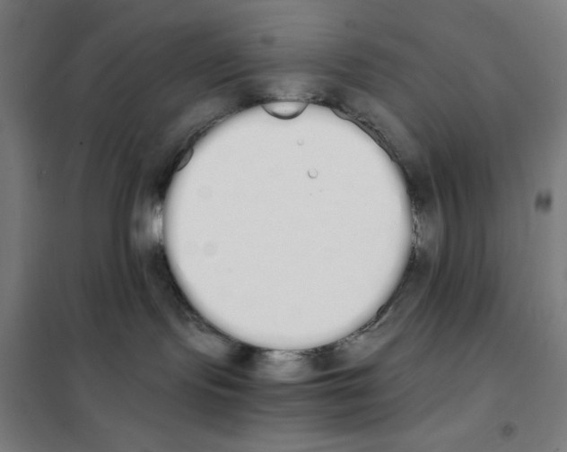 X0000101390095200808041027