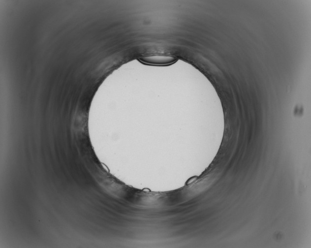 X0000101390096200808041027
