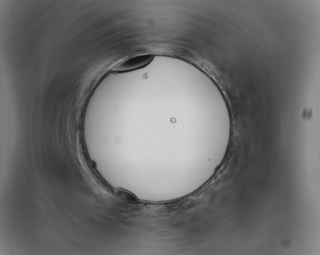 X0000101390097200808041027