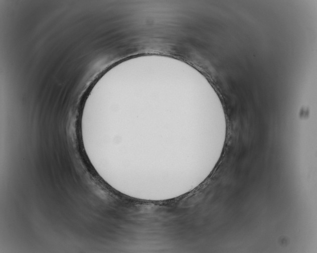 X0000101390098200808041027