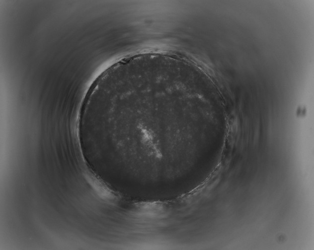 X0000101390100200808041027
