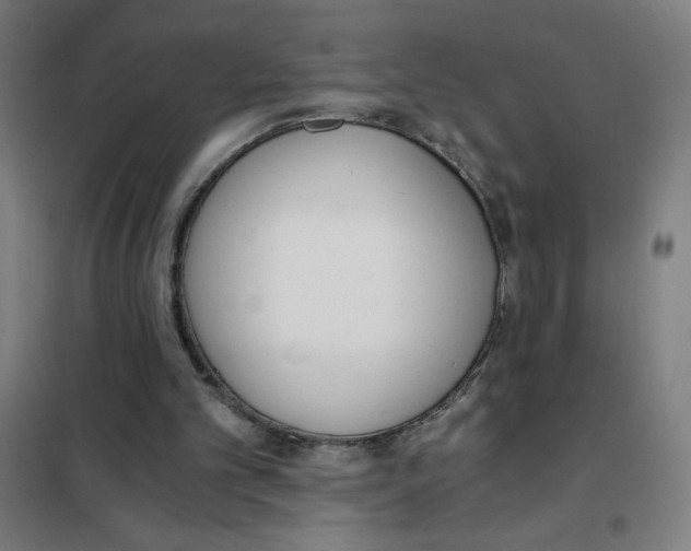 X0000101390101200808041027