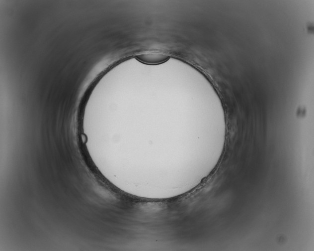 X0000101390102200808041027