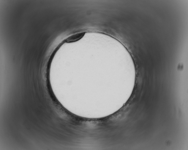 X0000101390103200808041027