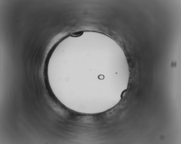 X0000101390104200808041027