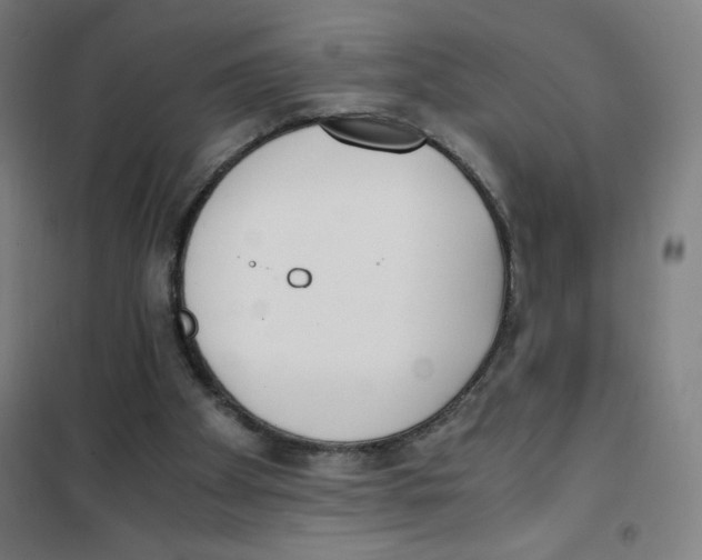 X0000101390105200808041027