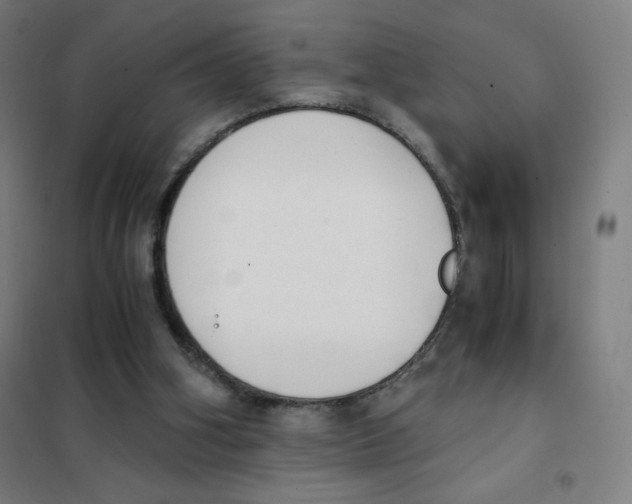 X0000101390106200808041027