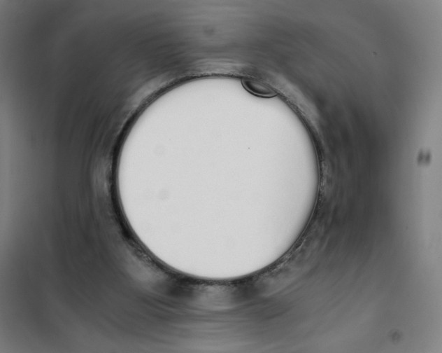 X0000101390107200808041027