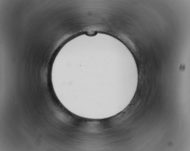 X0000101390108200808041027