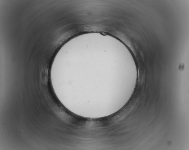 X0000101390109200808041027