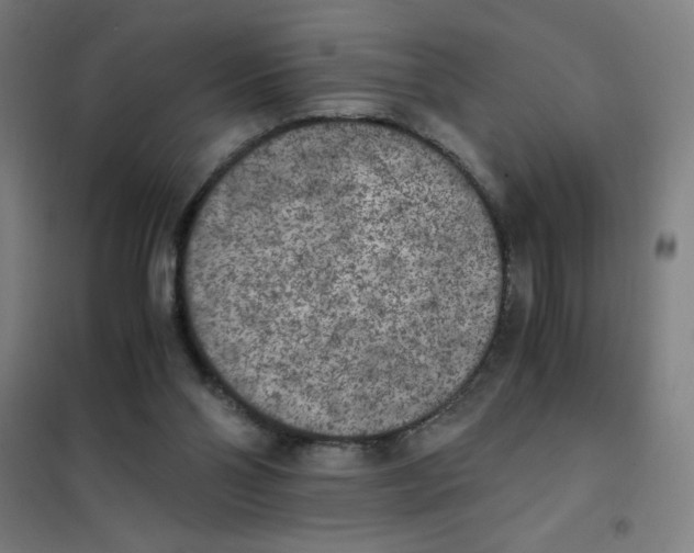 X0000101390110200808041027