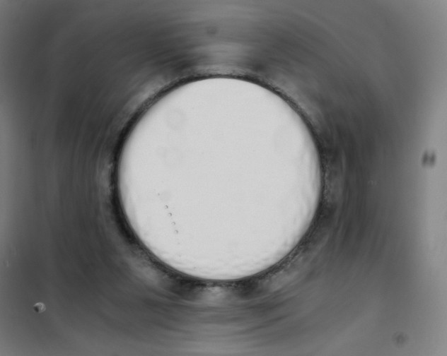X0000101390111200808041026