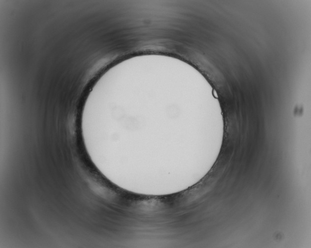 X0000101390112200808041026