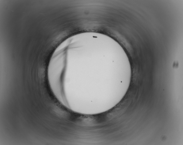 X0000101390113200808041026