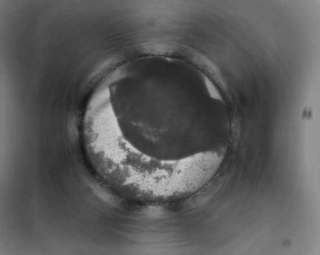 X0000101390114200808041026