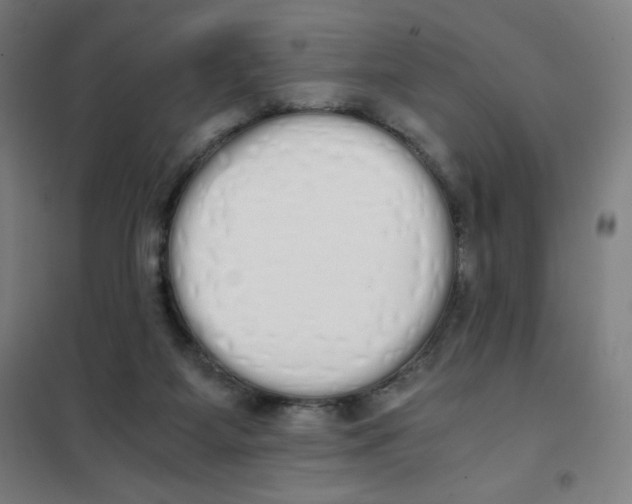 X0000101390115200808041026