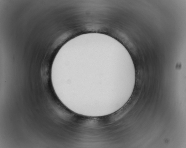 X0000101390116200808041026