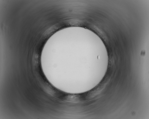 X0000101390117200808041026
