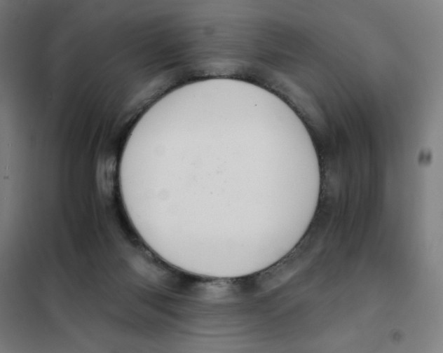 X0000101390118200808041026