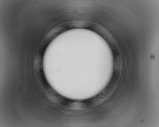 X0000101390119200808041026