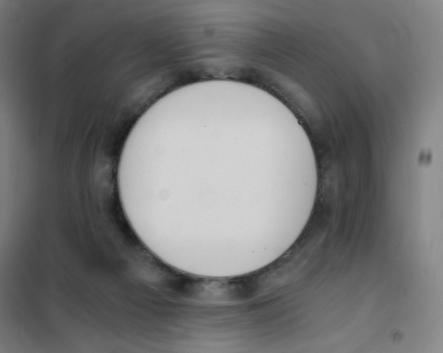 X0000101390121200808041026