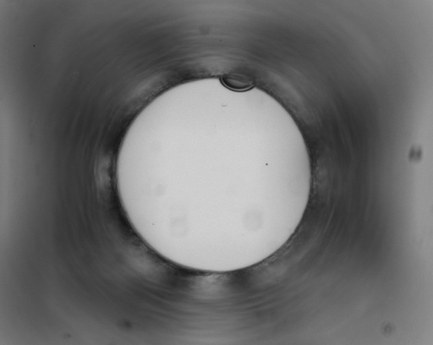 X0000101390122200808041026
