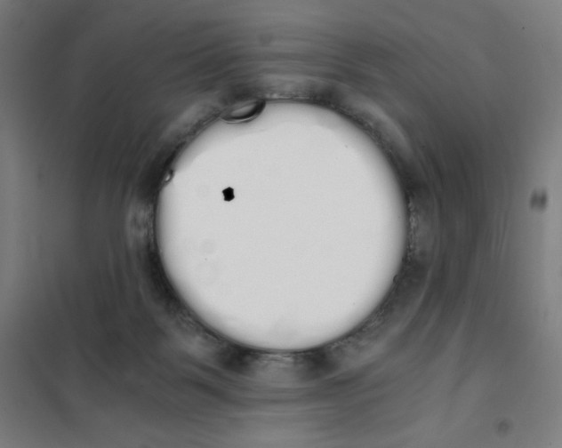 X0000101390123200808041026