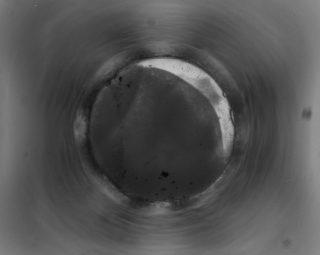 X0000101390124200808041026