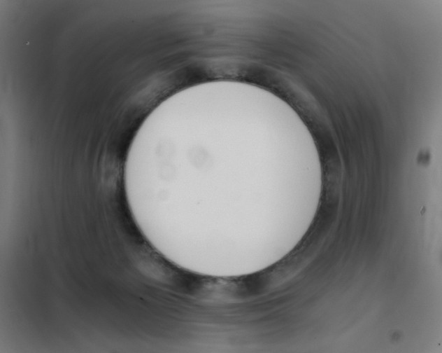 X0000101390125200808041026