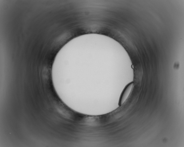 X0000101390126200808041026