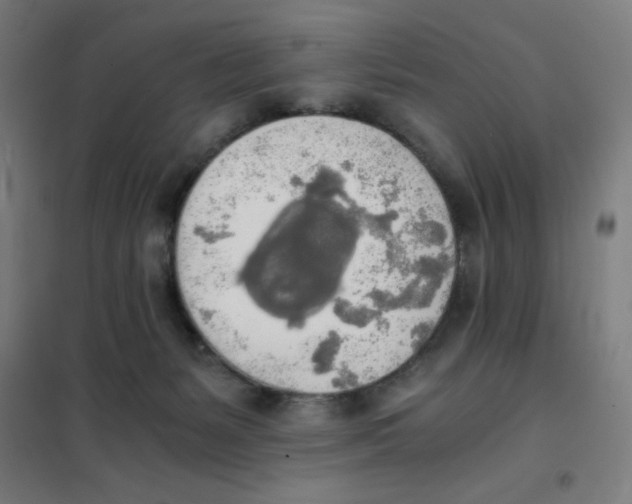 X0000101390127200808041026