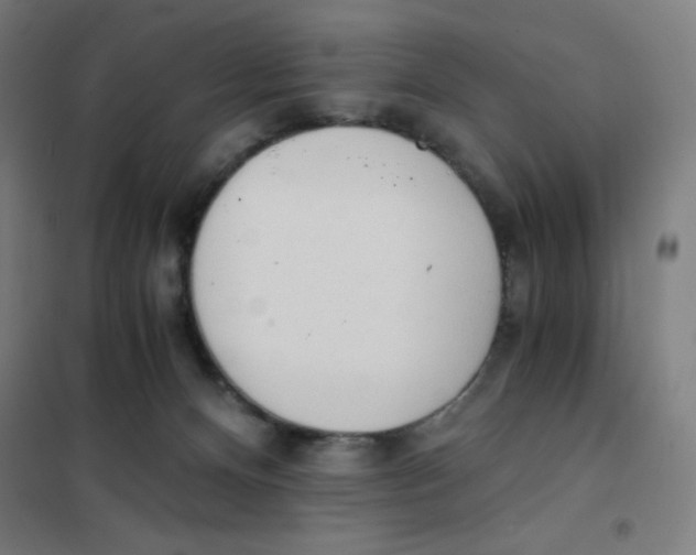 X0000101390128200808041026