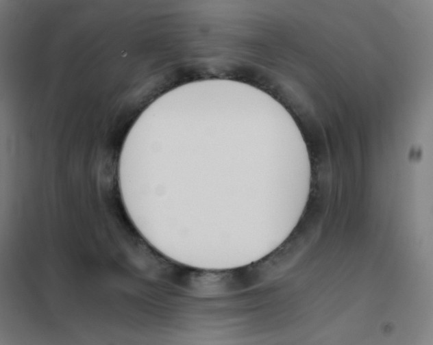 X0000101390129200808041026