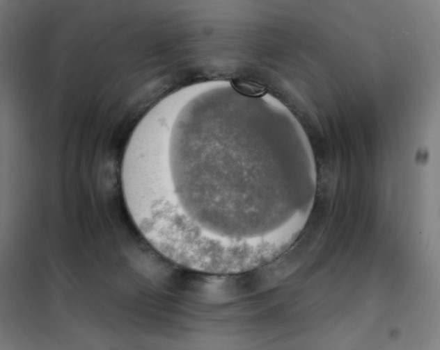 X0000101390130200808041026