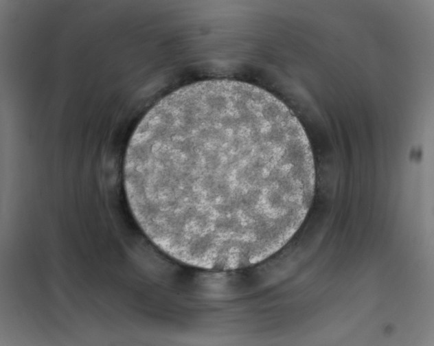 X0000101390131200808041026
