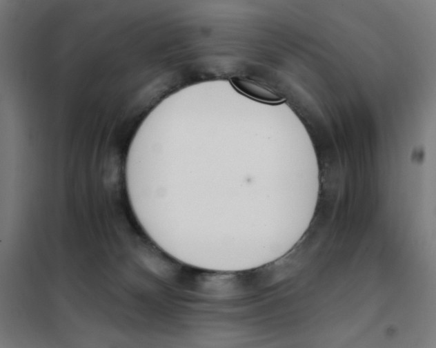 X0000101390132200808041026