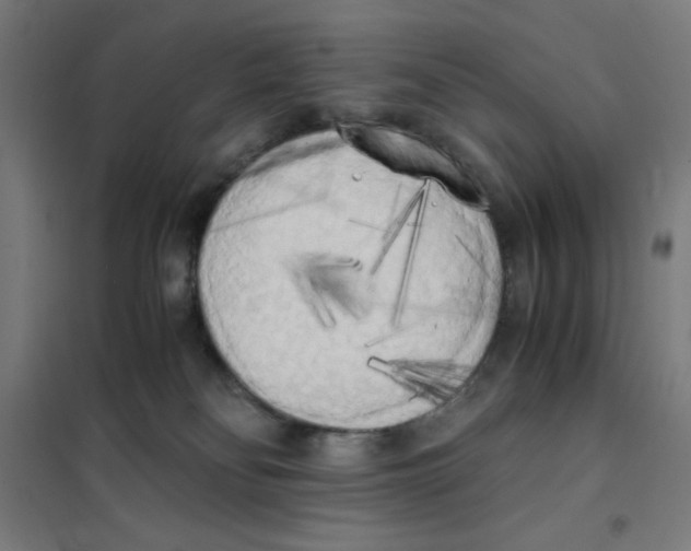 X0000101390134200808041026