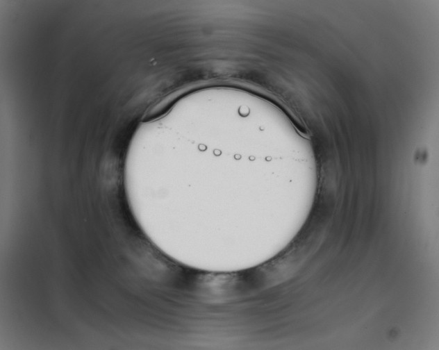 X0000101390135200808041026