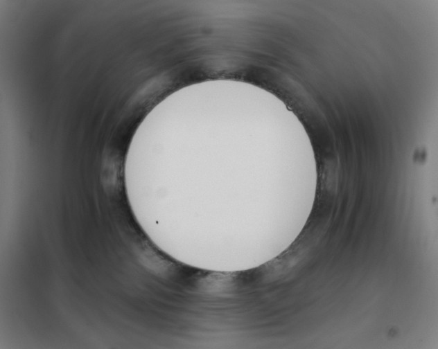 X0000101390138200808041026