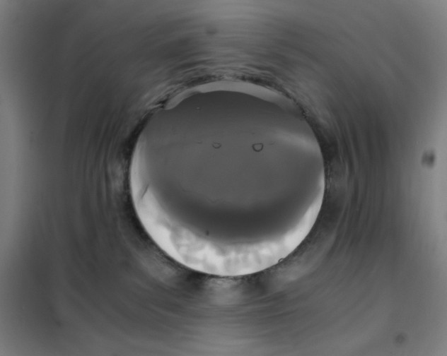 X0000101390139200808041026