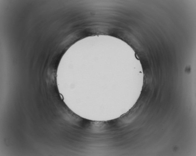 X0000101390141200808041026