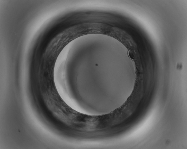 X0000101390143200808041026
