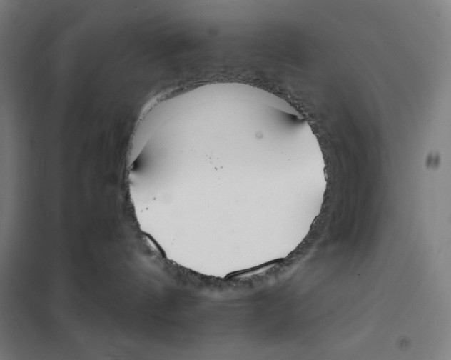X0000101390144200808041026