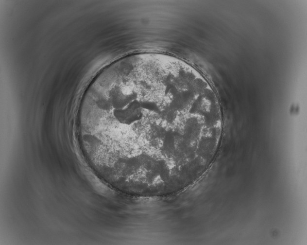 X0000101390145200808041025